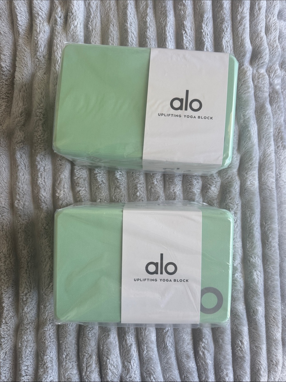 ALO Yoga Mint Green Uplifting Yoga Blocks - Set of 2